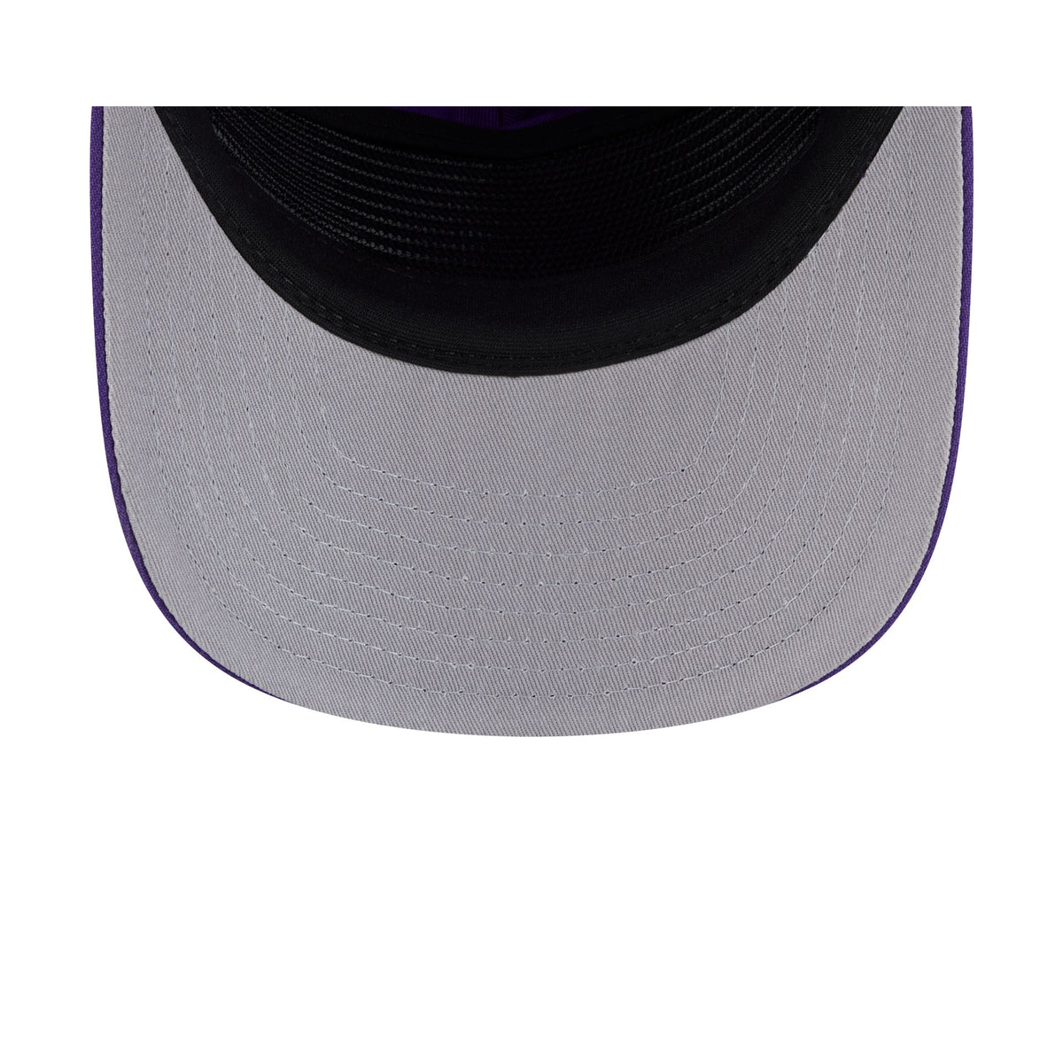 Toronto Raptors Mesh 19TWENTY Trucker Hat