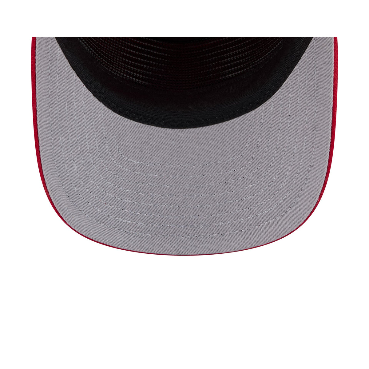 Florida Panthers Mesh 19TWENTY Trucker Hat