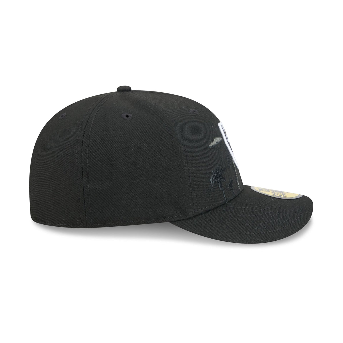 Las Vegas Raiders Team Element 59FIFTY Fitted Hat