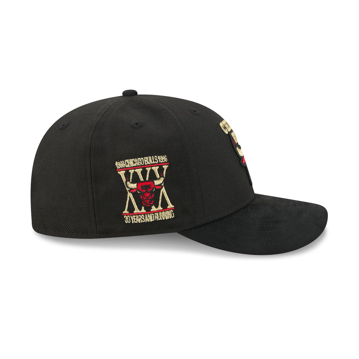 Chicago Bulls Hardwood Classics Side Patch 9FIFTY Snapback Hat