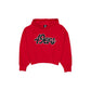 San Francisco 49ers 2026 Functional Fandom Women's Hoodie