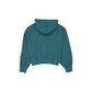 Philadelphia Eagles 2026 Functional Fandom Women's Hoodie