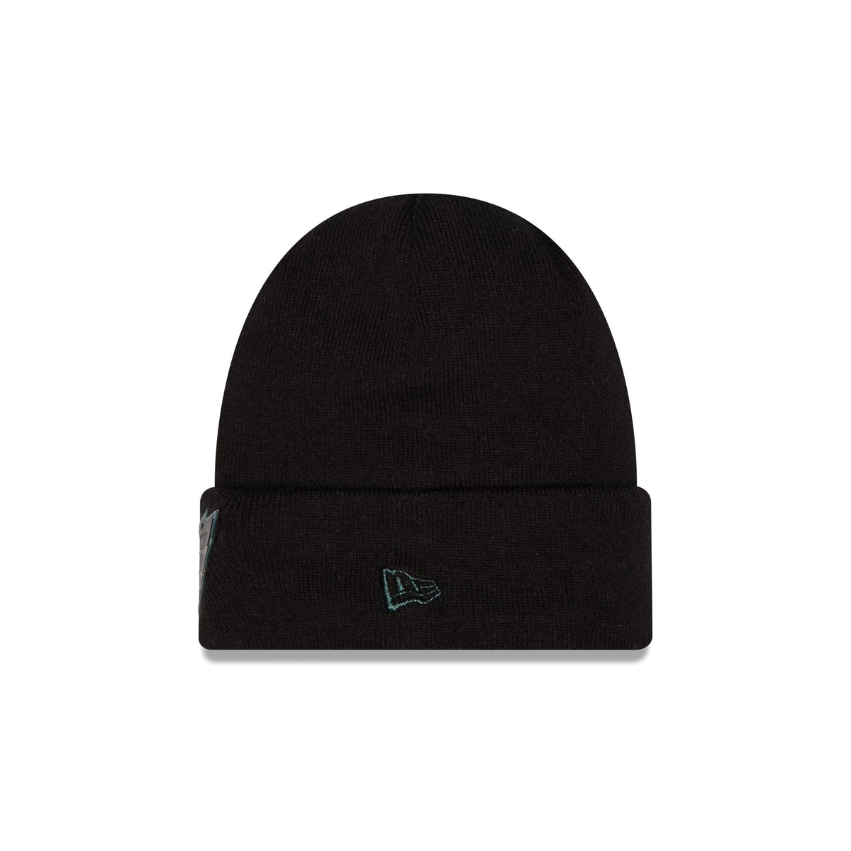 Philadelphia Eagles All Black Beanie Hat