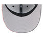 Detroit Tigers Brains 9FIFTY Snapback Hat