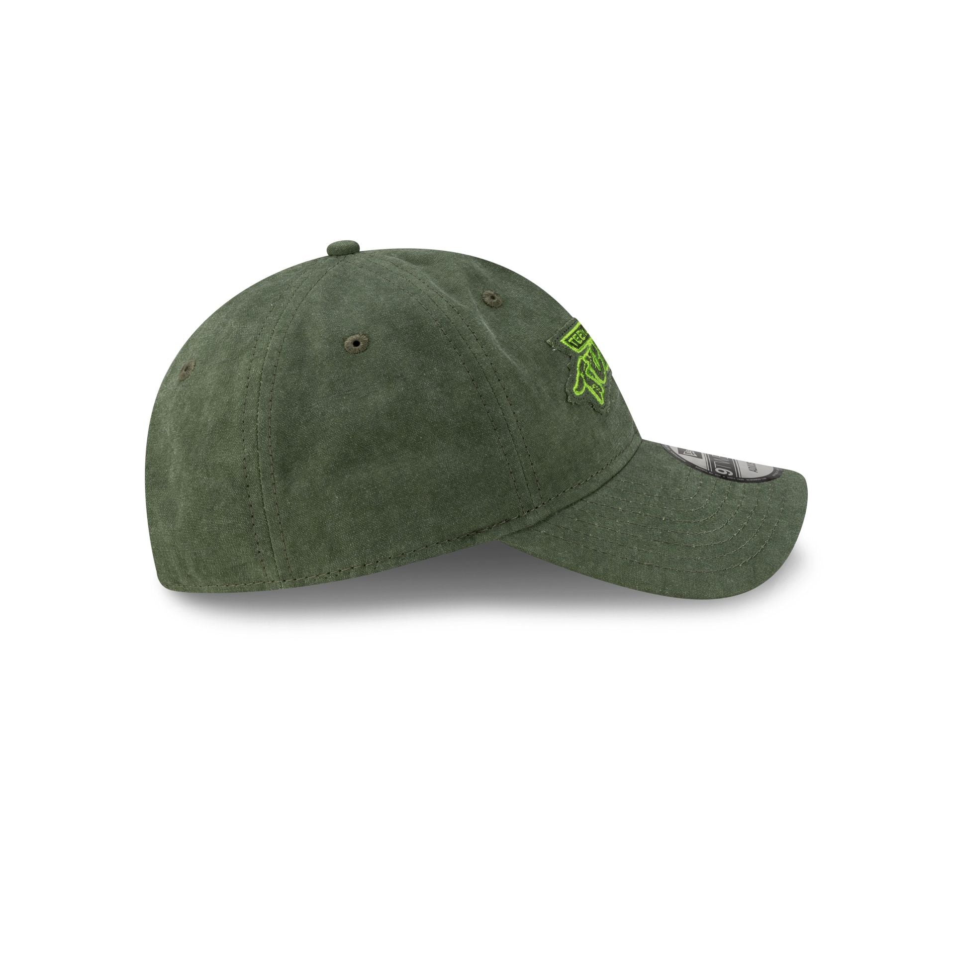 Teenage Mutant Ninja Turtles Frayed Green 9TWENTY Adjustable Hat