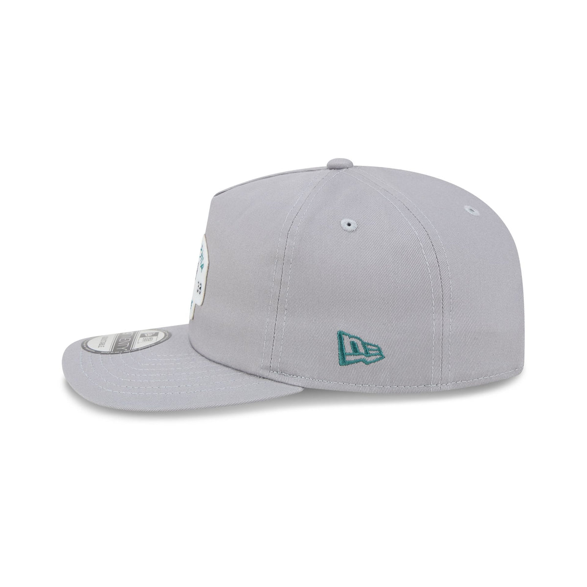 Philadelphia Eagles Felt Patch Gray 19TWENTY Snapback Hat