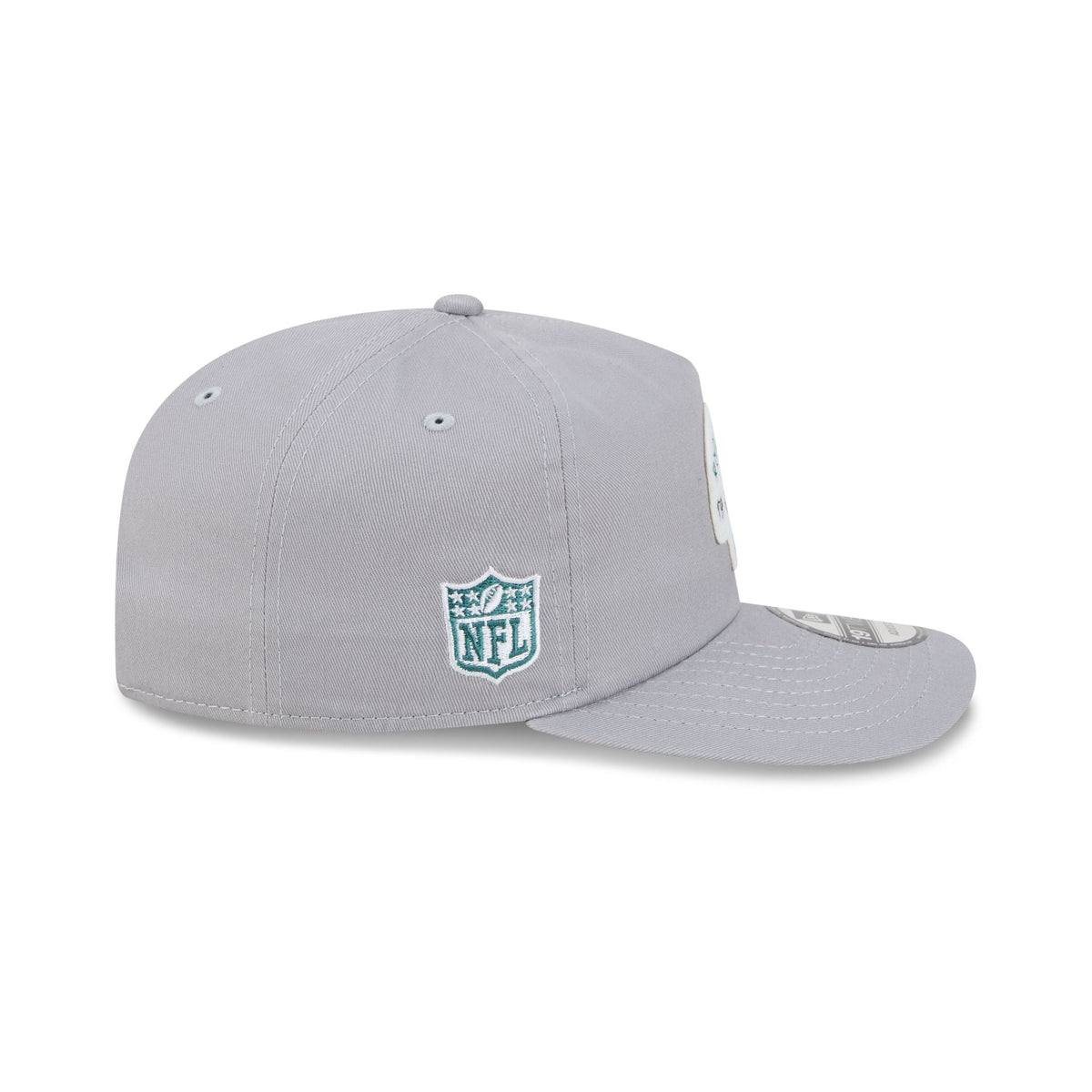 Philadelphia Eagles Felt Patch Gray 19TWENTY Snapback Hat