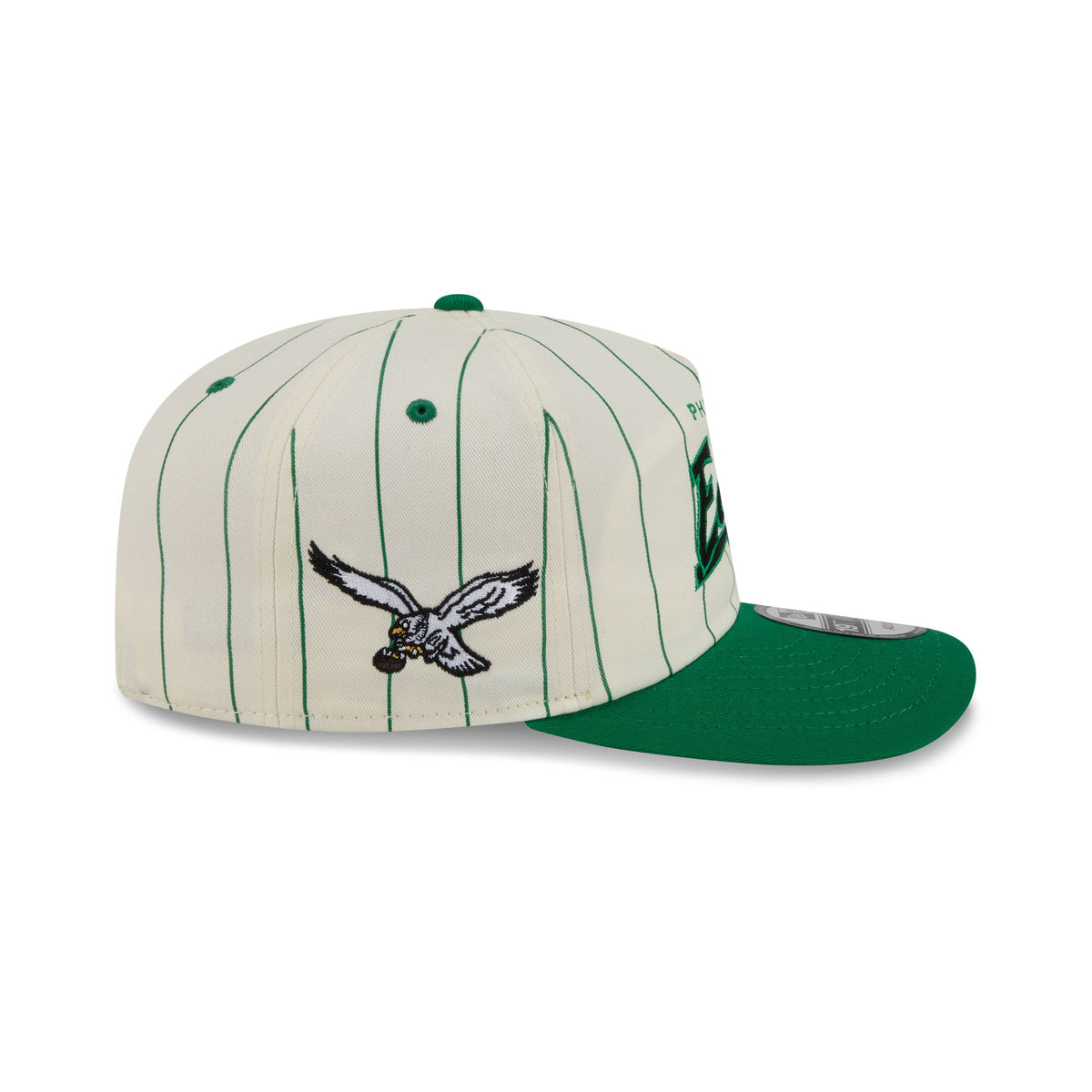 Philadelphia Eagles Chrome White Pinstripe 19TWENTY Snapback Hat