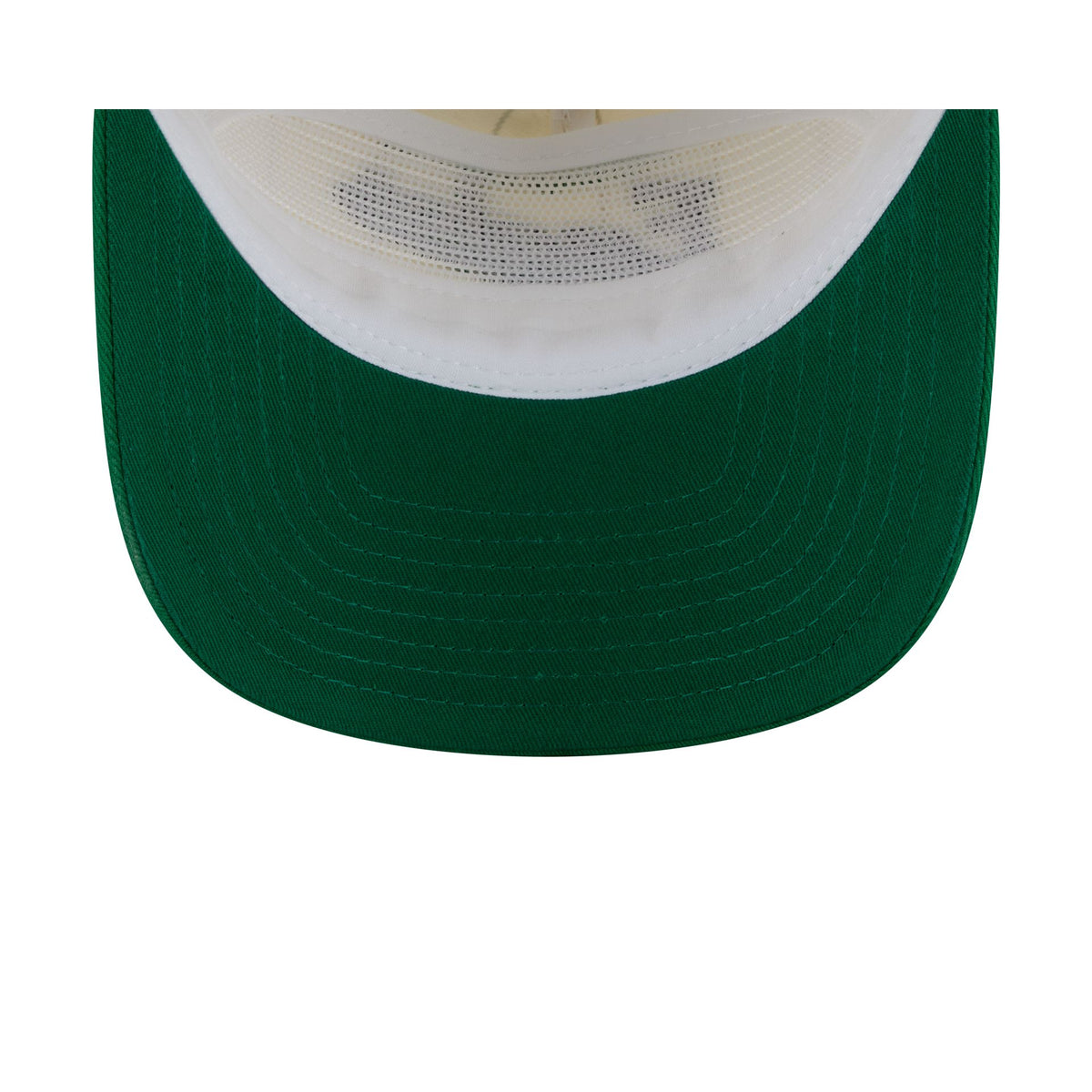 Philadelphia Eagles Chrome White Pinstripe 19TWENTY Snapback Hat