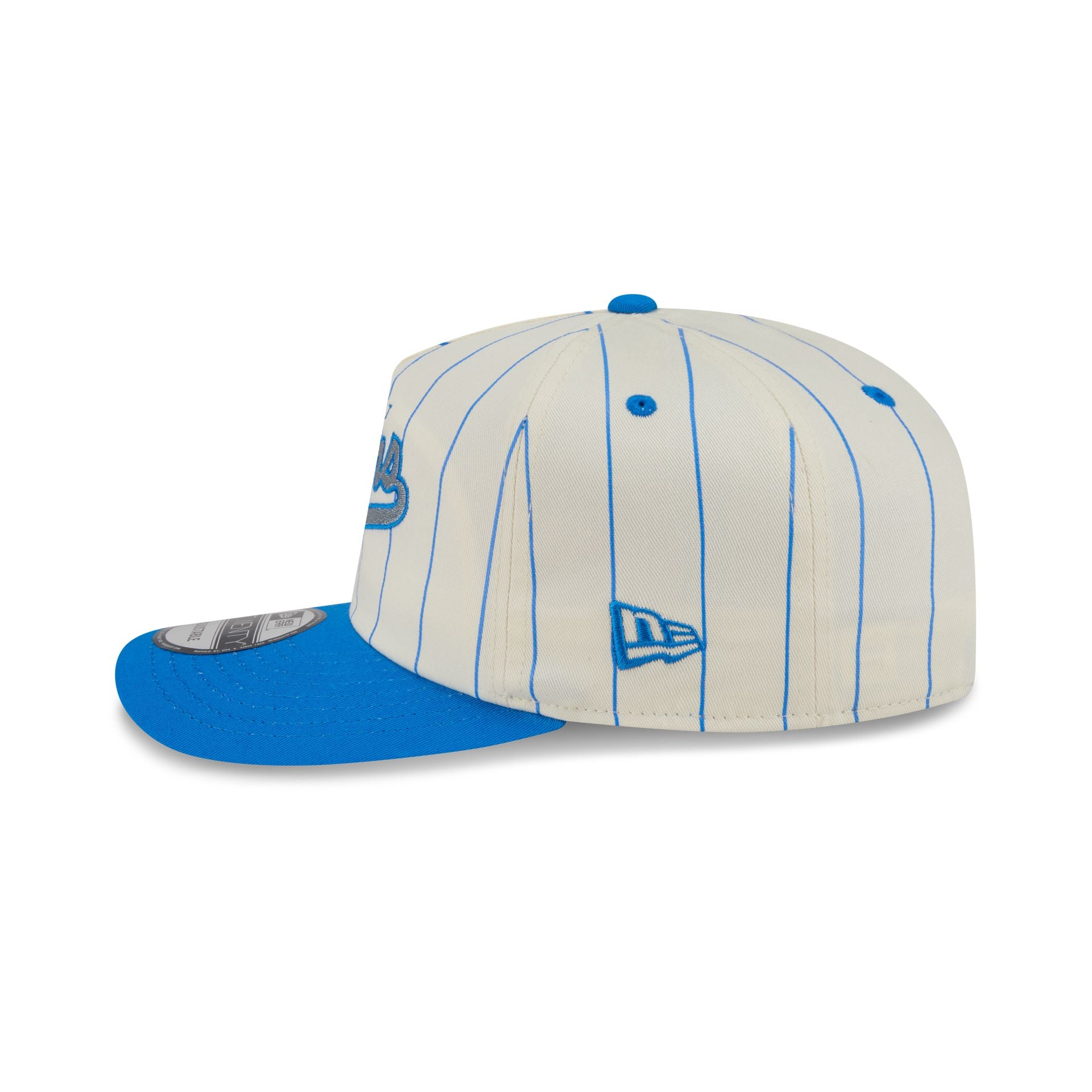 Detroit Lions Chrome White Pinstripe 19TWENTY Snapback Hat