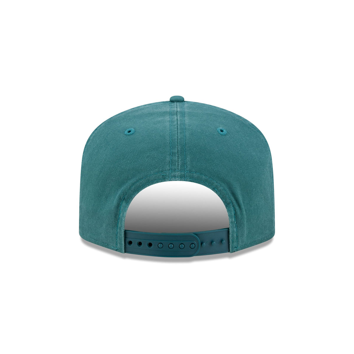 Philadelphia Eagles Arched Graphic 19TWENTY Snapback Hat