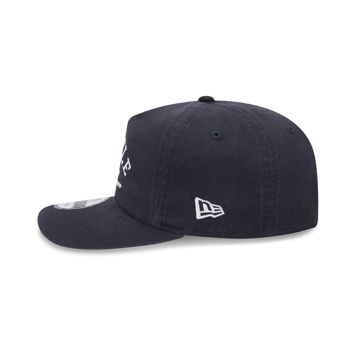 Seattle Kraken Arched Graphic 19TWENTY Snapback Hat