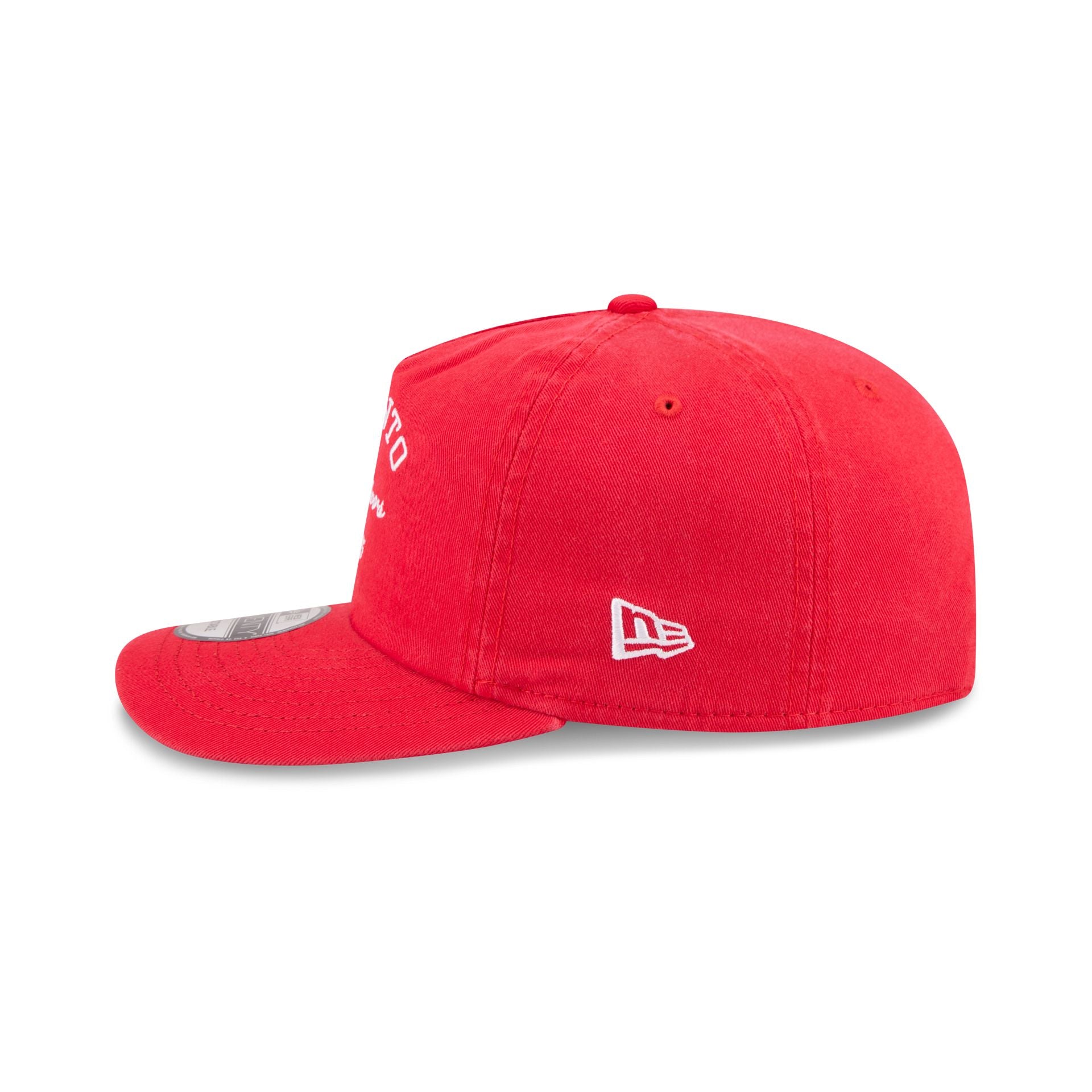 Toronto Raptors Arched Graphic 19TWENTY Snapback Hat
