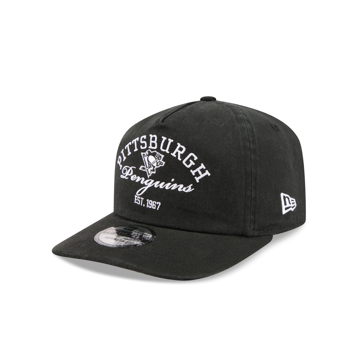 Pittsburgh Penguins Arched Graphic 19TWENTY Snapback Hat