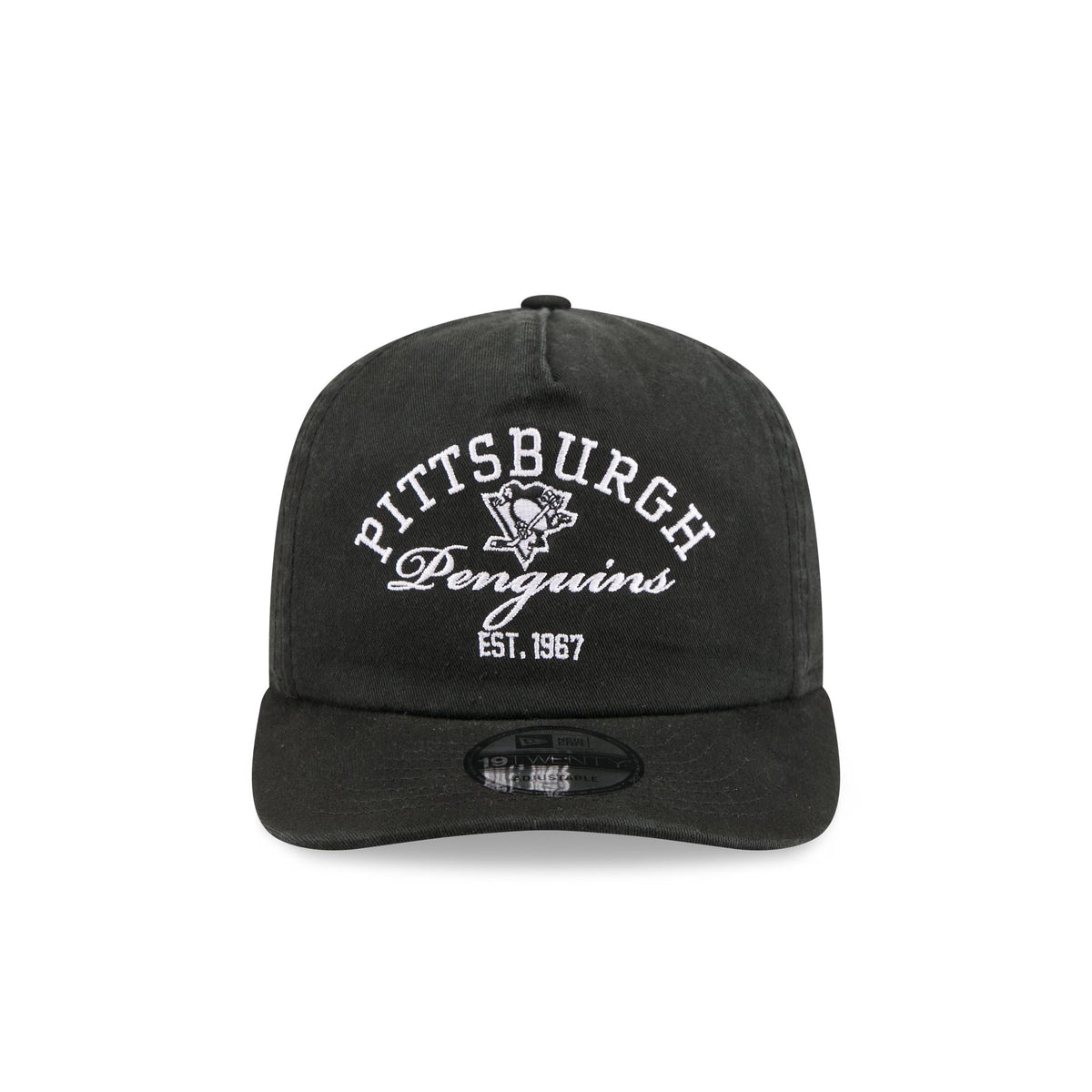 Pittsburgh Penguins Arched Graphic 19TWENTY Snapback Hat