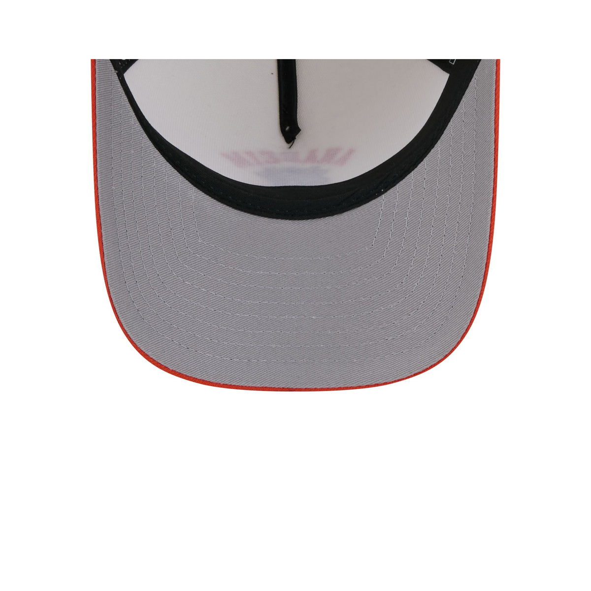 Anaheim Ducks Arched Graphic Chrome White 9FORTY M-Crown A-Frame Snapback Hat
