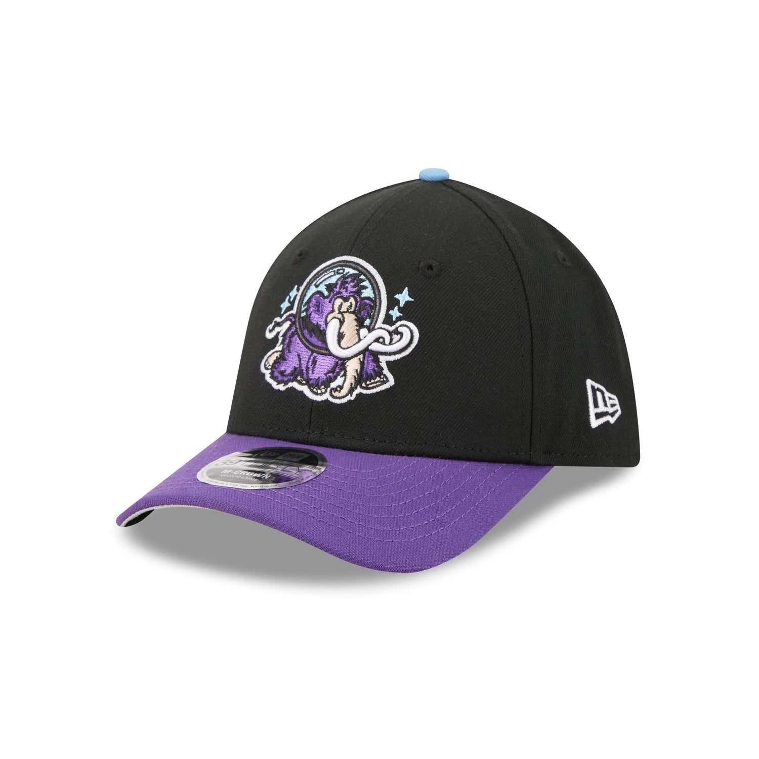 Erie SeaWolves Theme Night Black 39THIRTY M-Crown Stretch Fit Hat