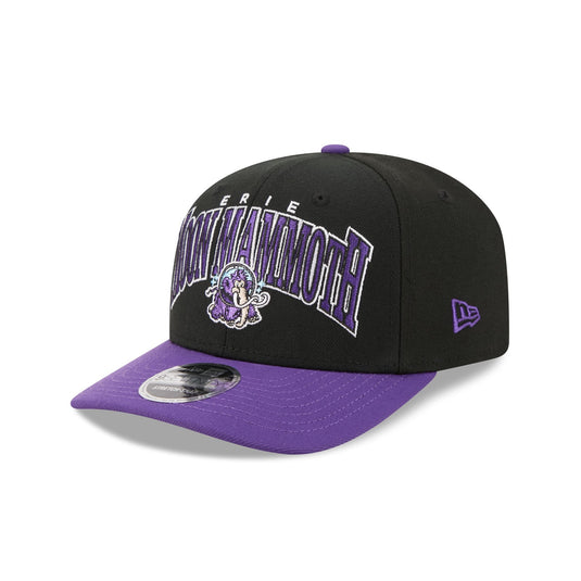 Erie SeaWolves Theme Night Black 9SEVENTY Stretch-Snap Hat - New Era Cap