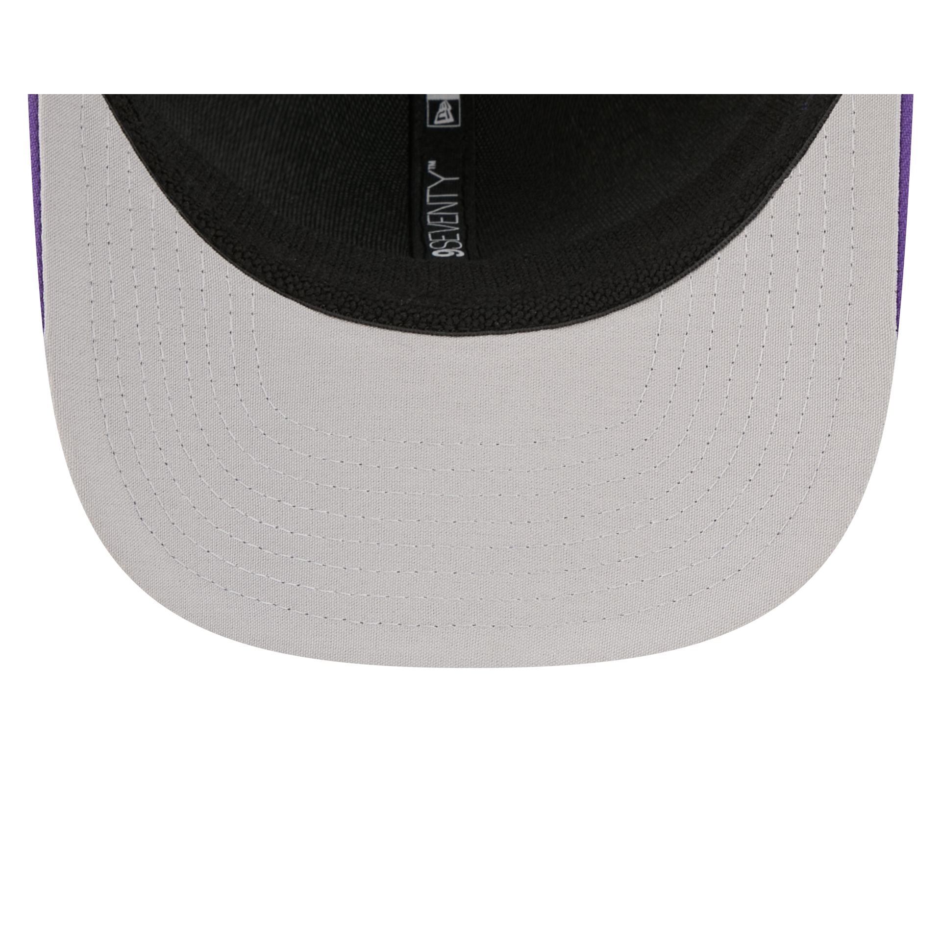 Erie Moon Mammoths Theme Night Black 9SEVENTY Stretch-Snap Hat