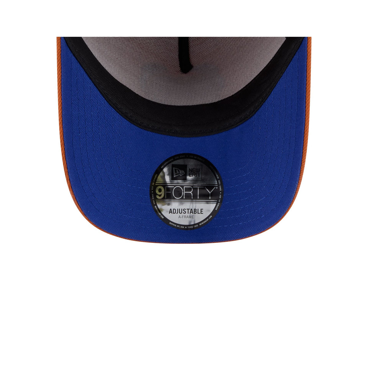 Houston Astros Day of the Dead 9FORTY A-Frame Snapback Hat