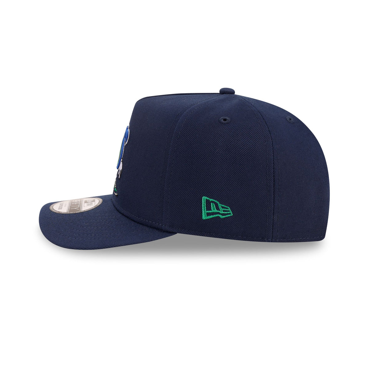 Seattle Seahawks Cartoon 9FIFTY A-Frame Snapback Hat