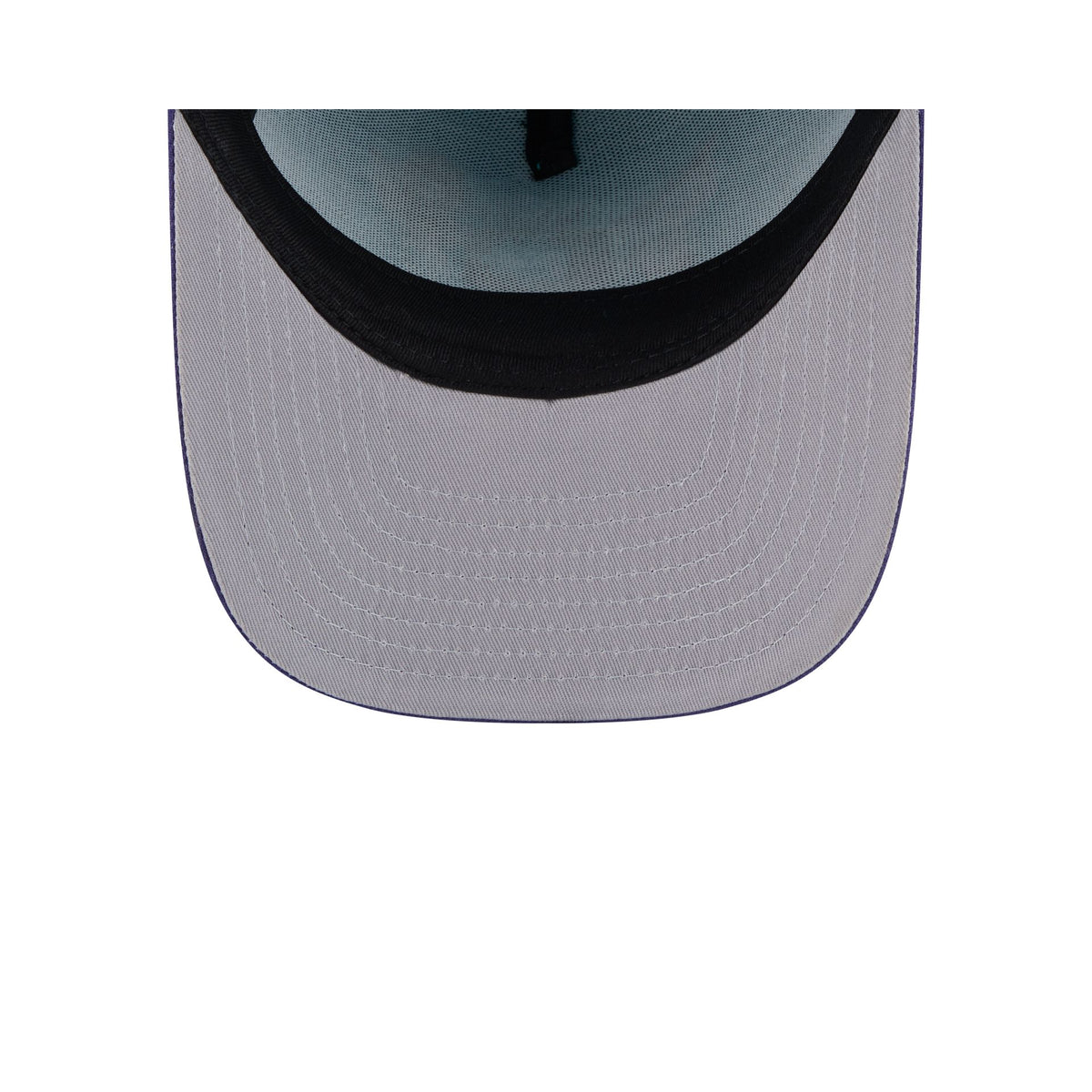 Charlotte Hornets Cartoon 9FIFTY A-Frame Snapback Hat