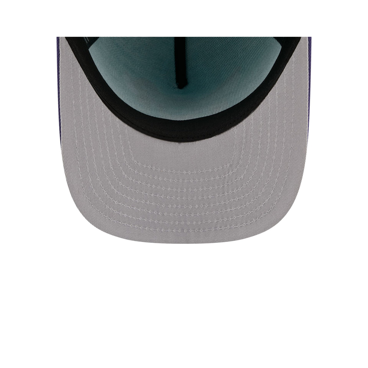Charlotte Hornets Cartoon 59FIFTY A-Frame Fitted Hat
