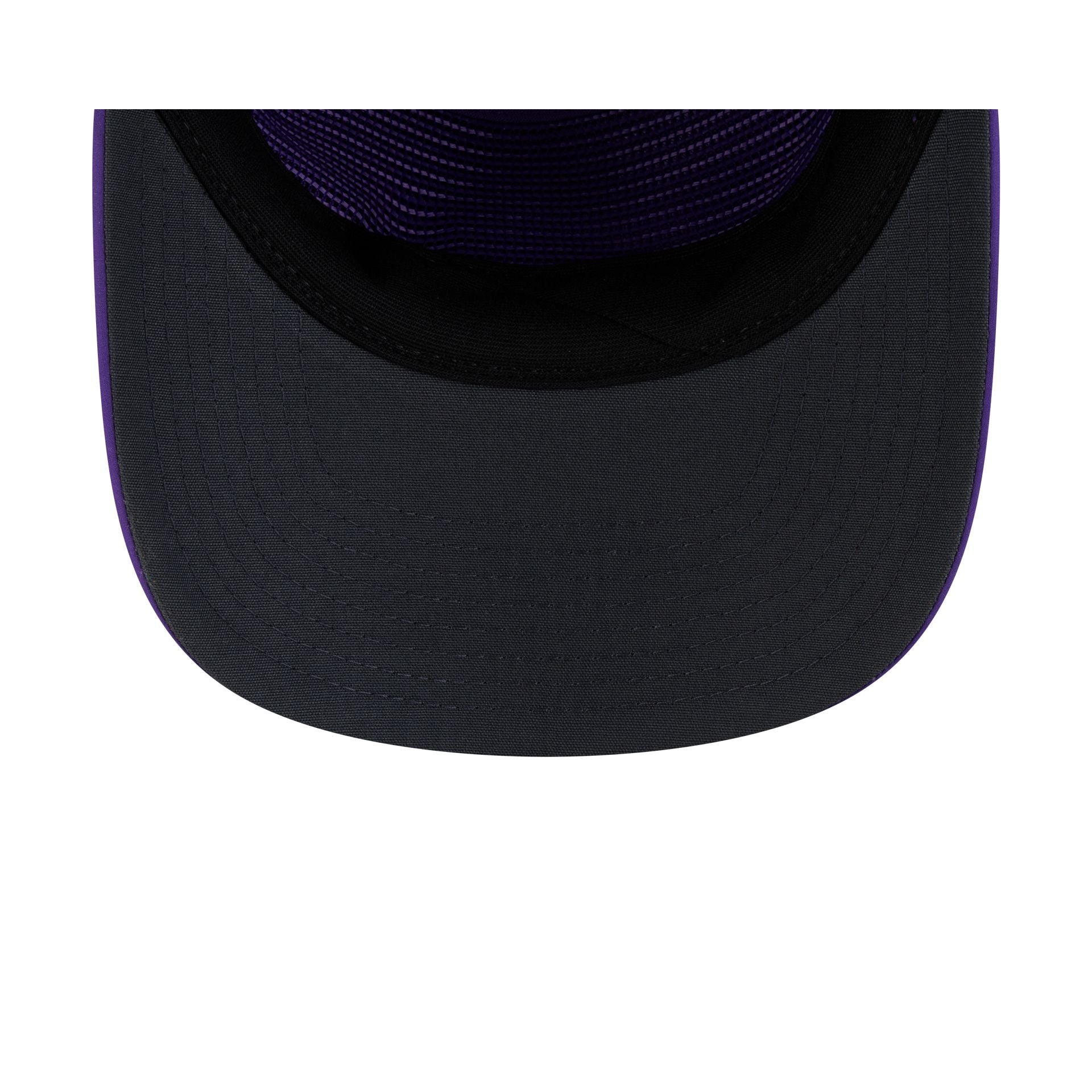 Minnesota Vikings 2026 Sideline 19TWENTY Snapback Hat