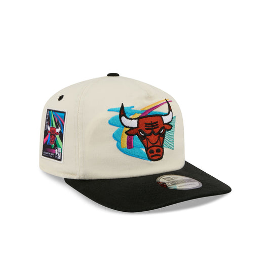 Chicago Bulls Hardwood Classics Retro Chrome 19TWENTY Adjustable Hat - New Era Cap