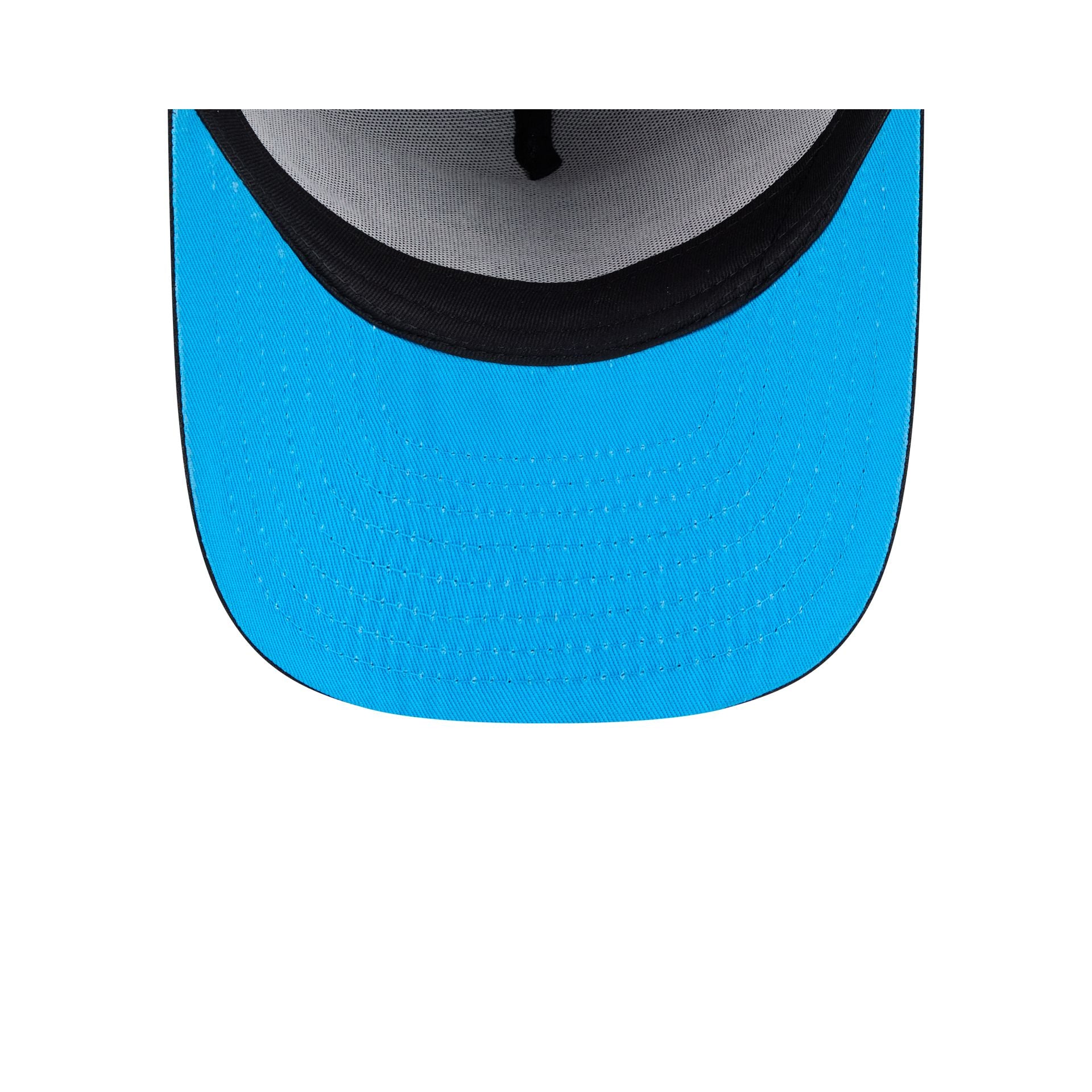 Looney Tunes Mural 9FIFTY A-Frame Snapback Hat