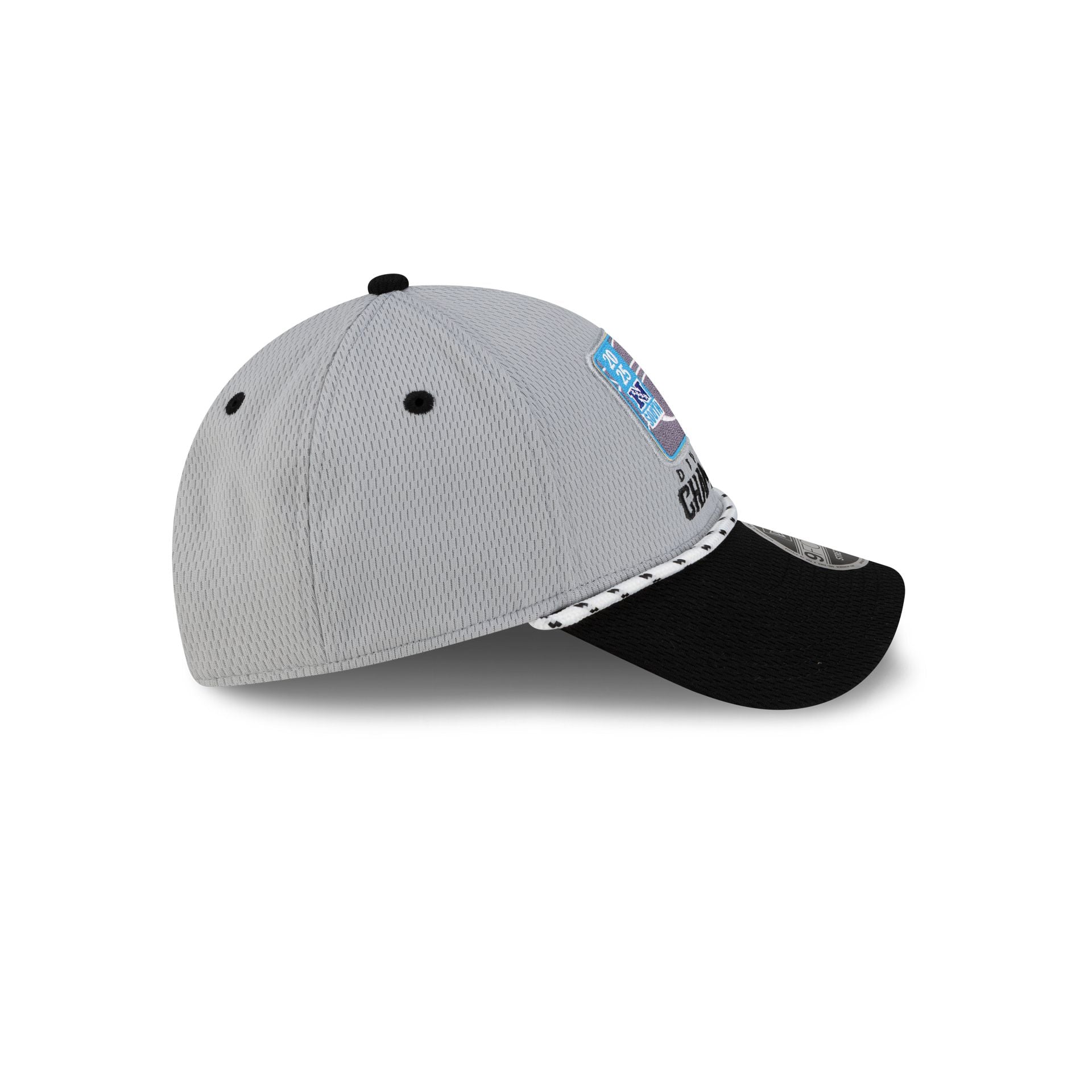 Carolina Panthers 2025 Division Champion Locker Room 9FORTY Stretch-Snap Hat