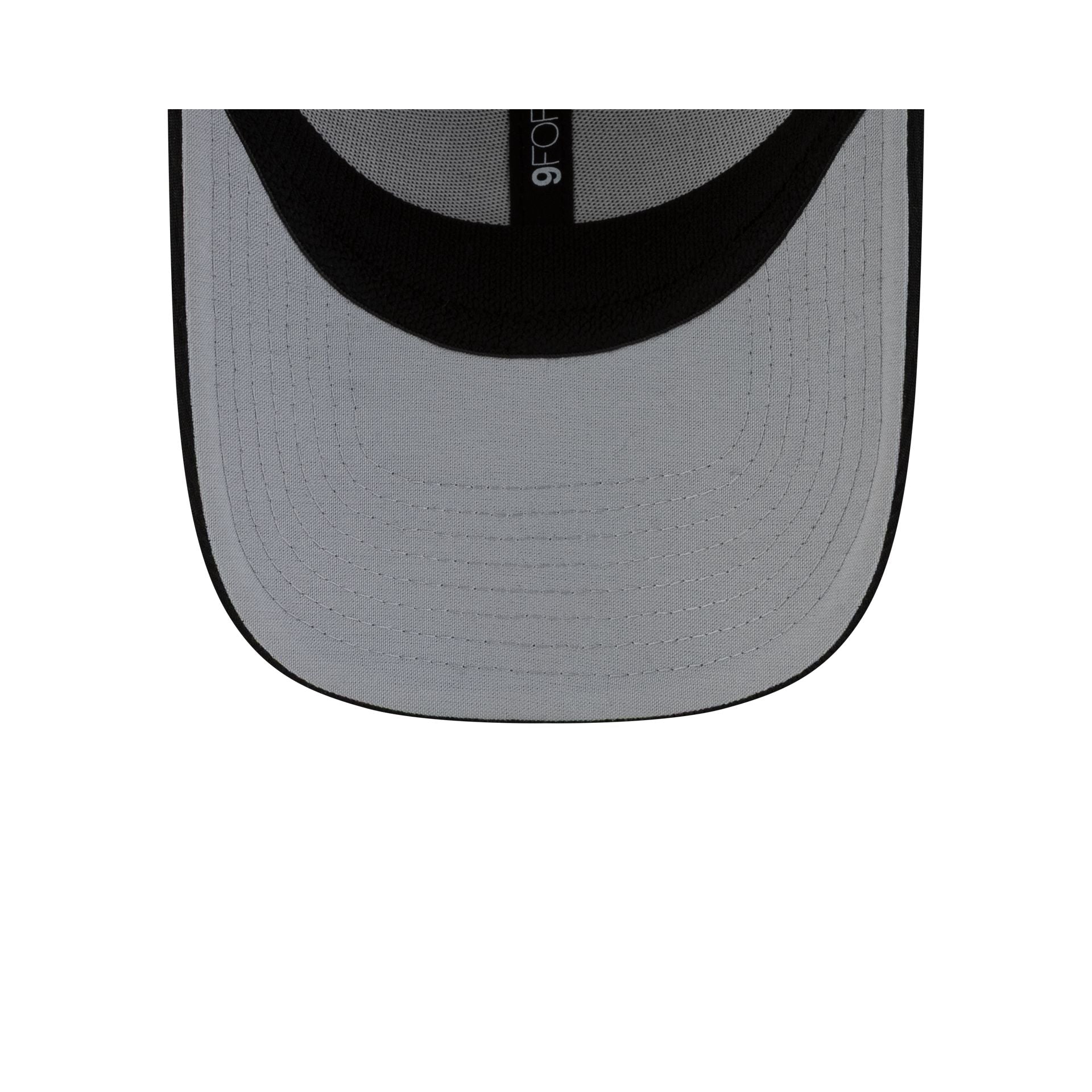 Carolina Panthers 2025 Division Champion Locker Room 9FORTY Stretch-Snap Hat