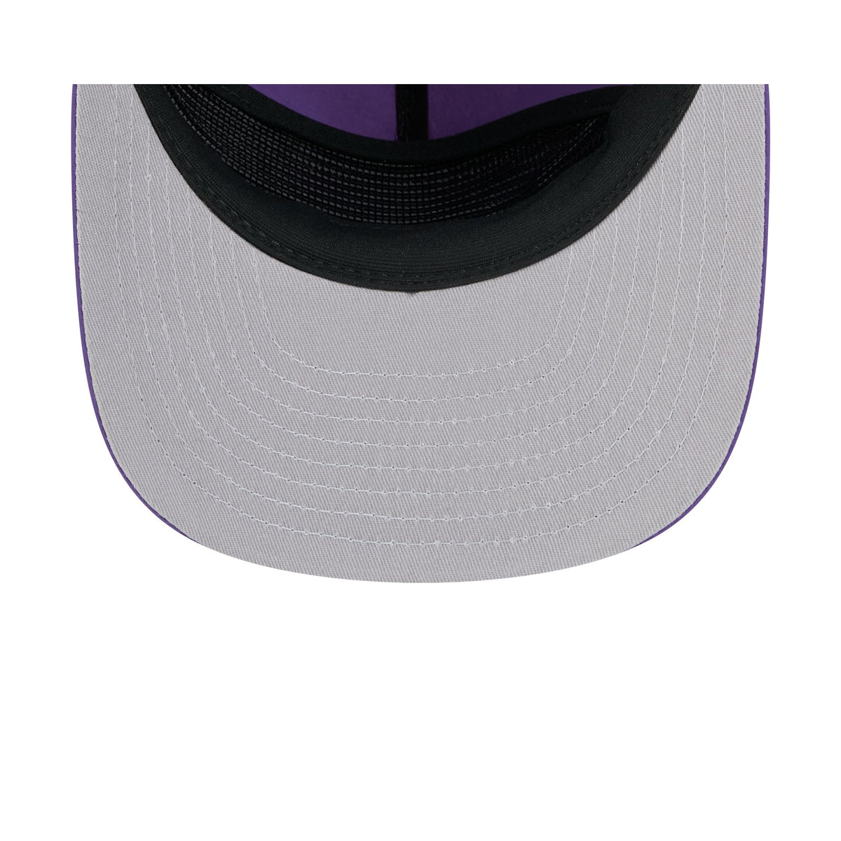 Toronto Raptors Hardwood Classics Vince Carter 19TWENTY Snapback Hat