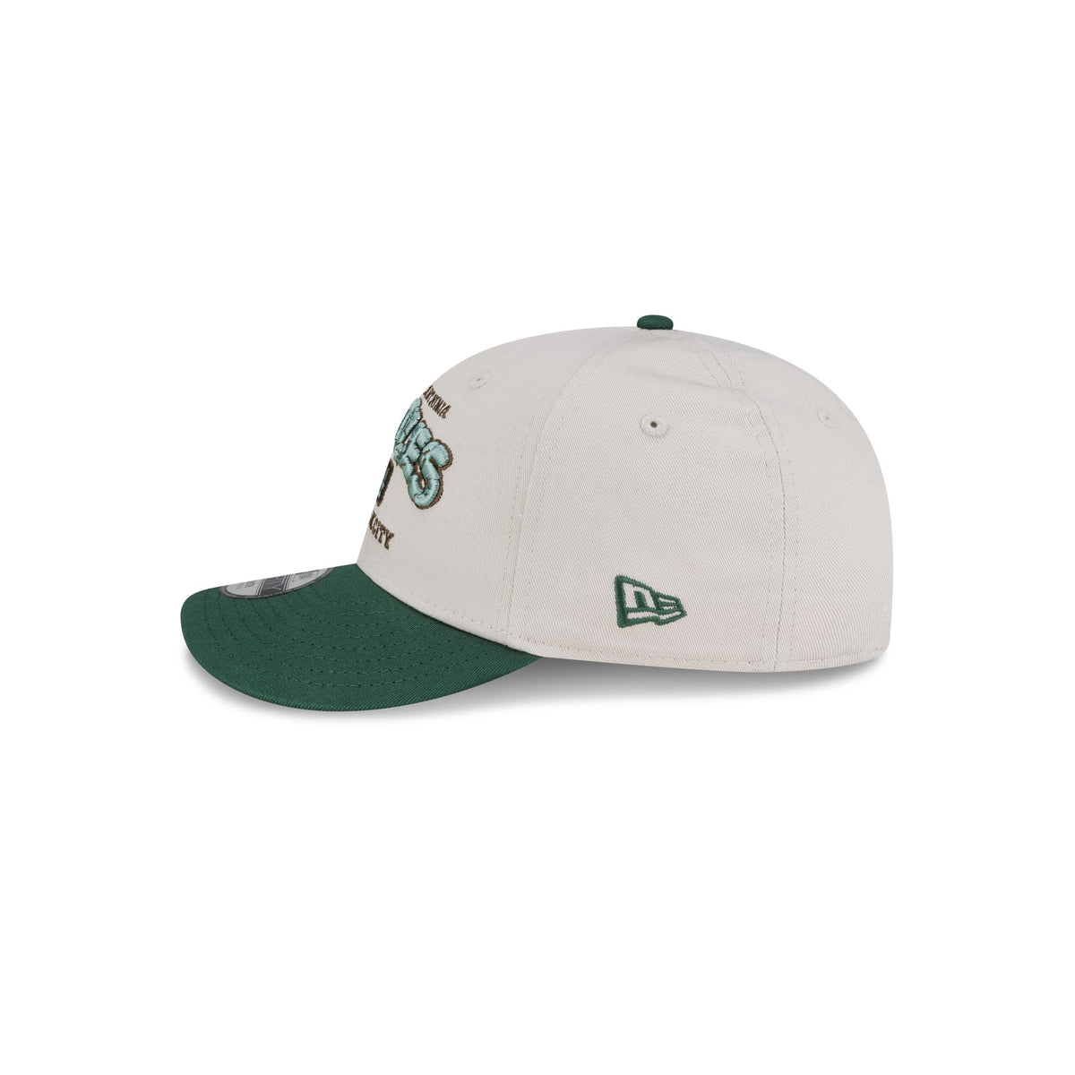 Teenage Mutant Ninja Turtles Kids Stone Green 9FIFTY Snapback Hat