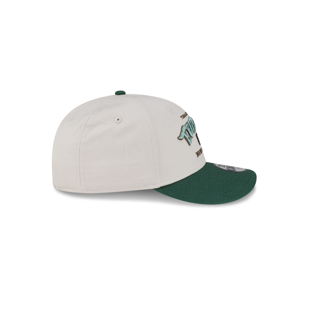 Teenage Mutant Ninja Turtles Kids Stone Green 9FIFTY Snapback Hat