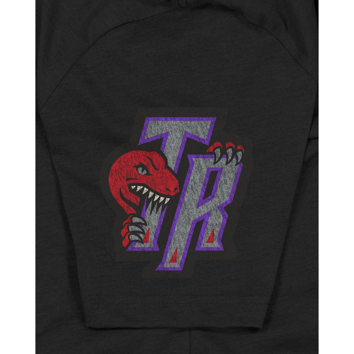 Toronto Raptors Hardwood Classics Black T-Shirt