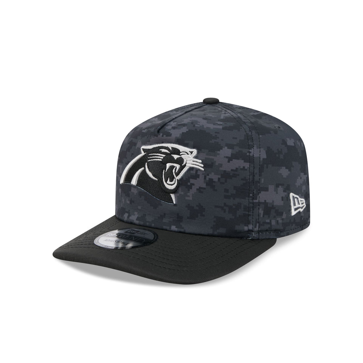 Carolina Panthers 2026 Salute to Service 19TWENTY Snapback Hat