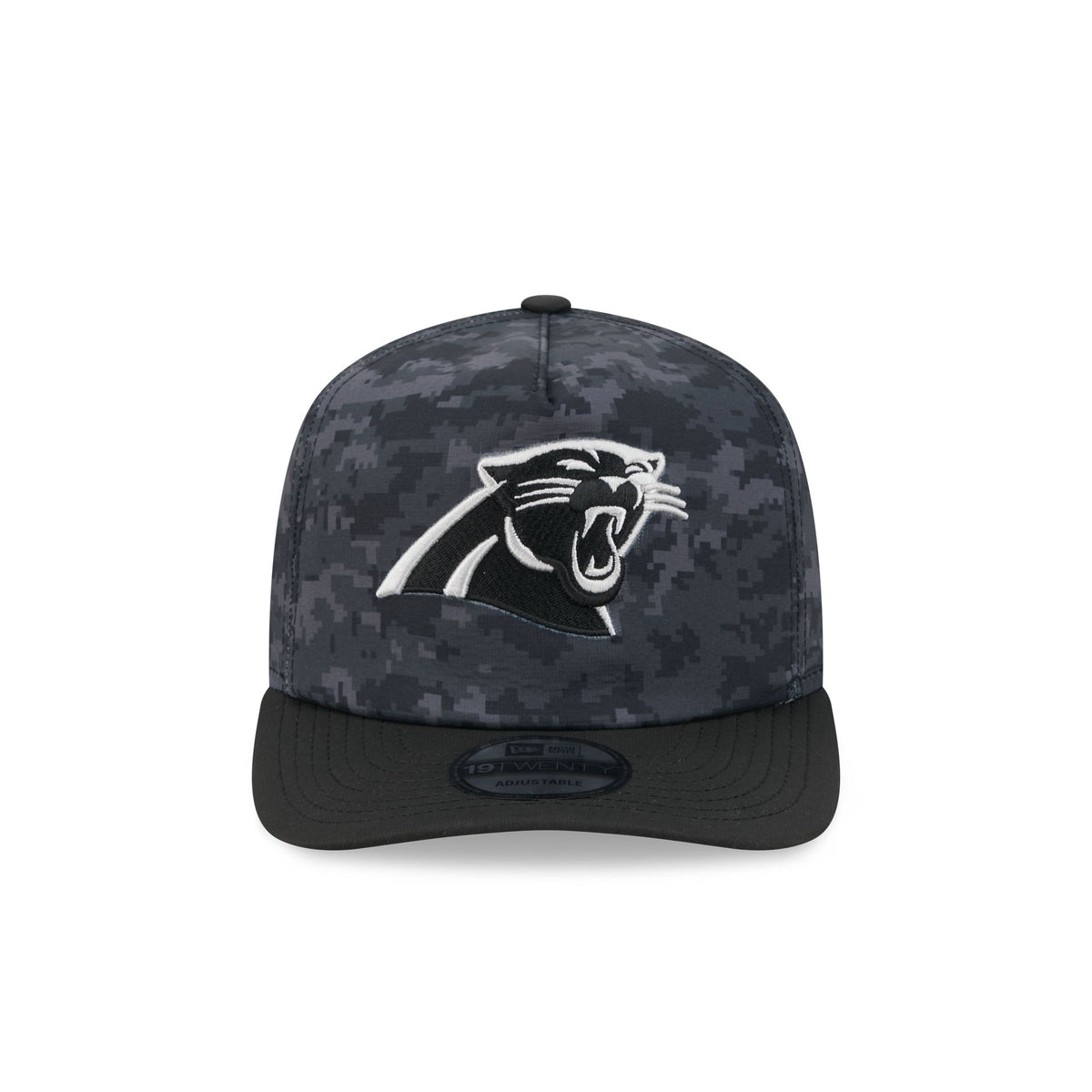 Carolina Panthers 2026 Salute to Service 19TWENTY Snapback Hat