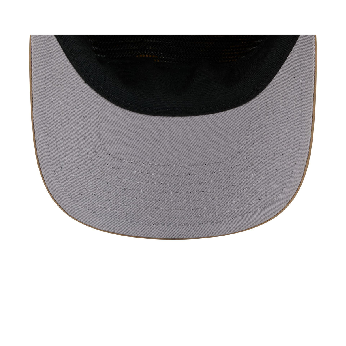Detroit Lions Washed Khaki Nylon 19TWENTY Snapback Hat