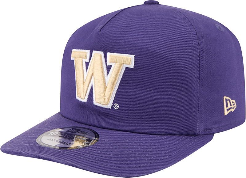 Washington Huskies Team 19TWENTY Snapback Hat