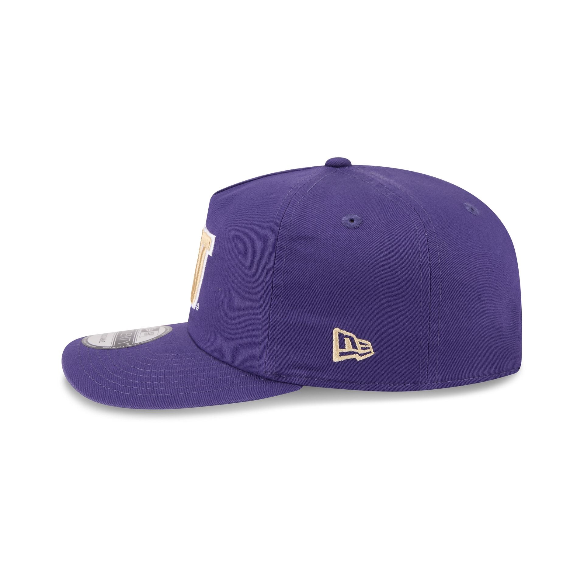 Washington Huskies Team 19TWENTY Snapback Hat