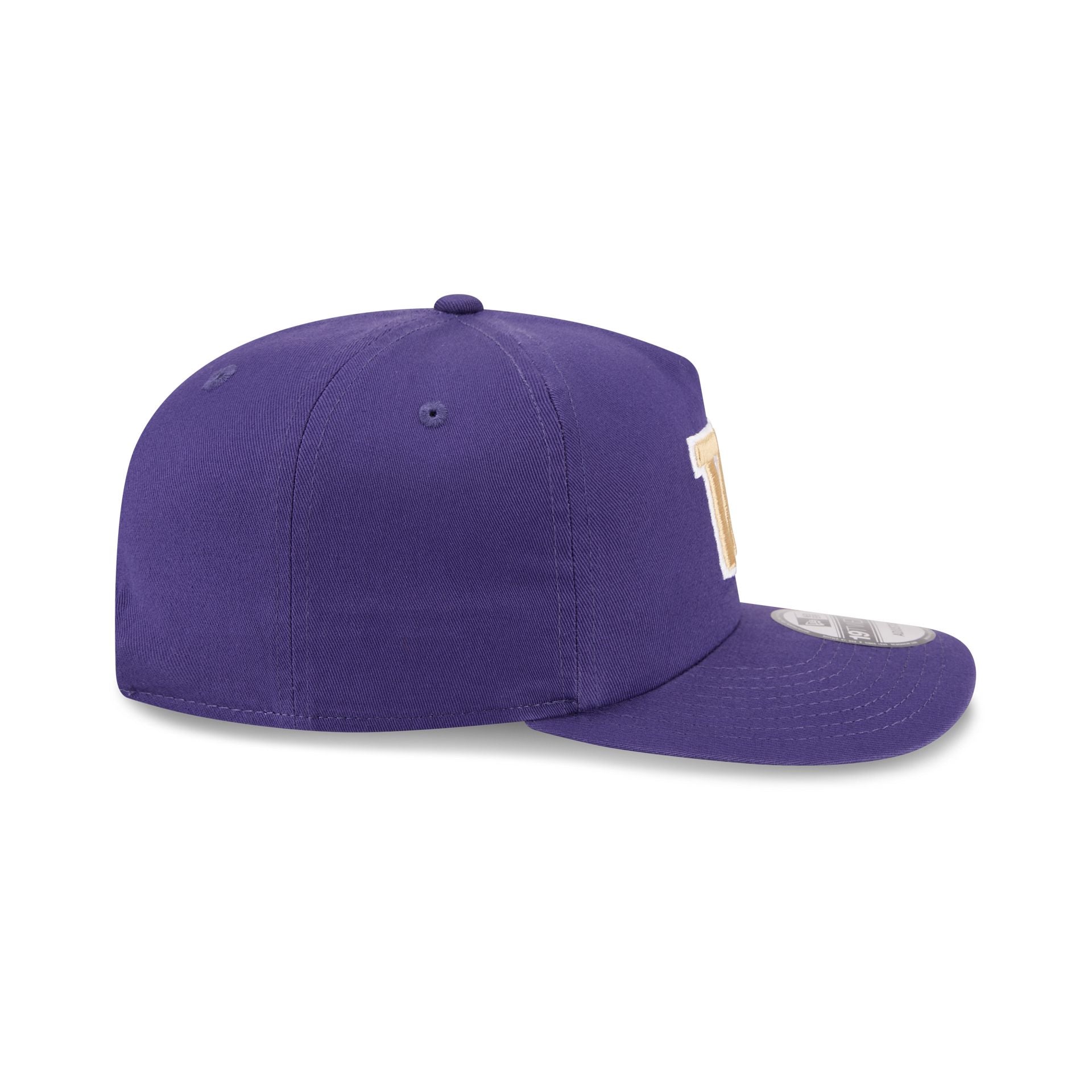 Washington Huskies Team 19TWENTY Snapback Hat