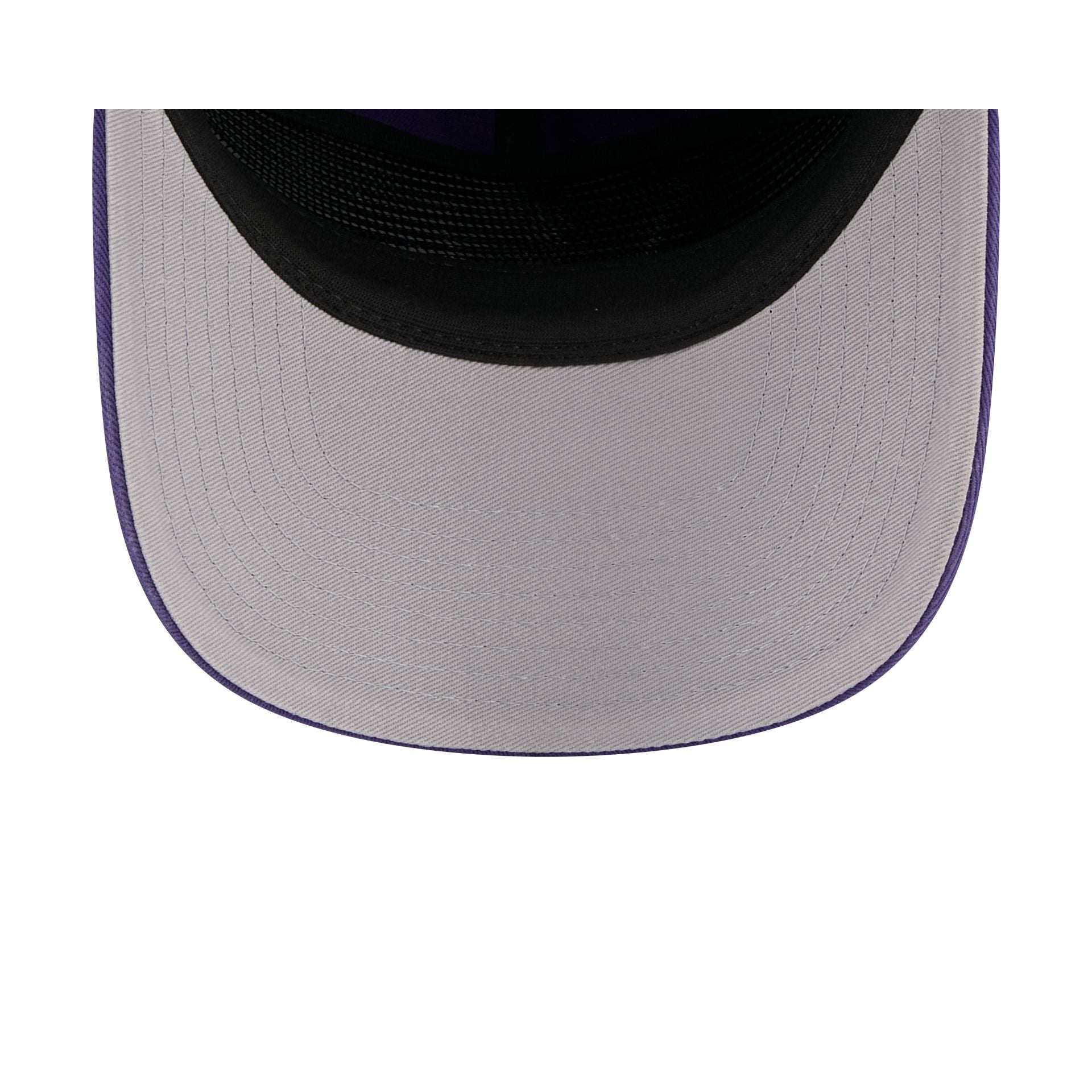 Washington Huskies Team 19TWENTY Snapback Hat