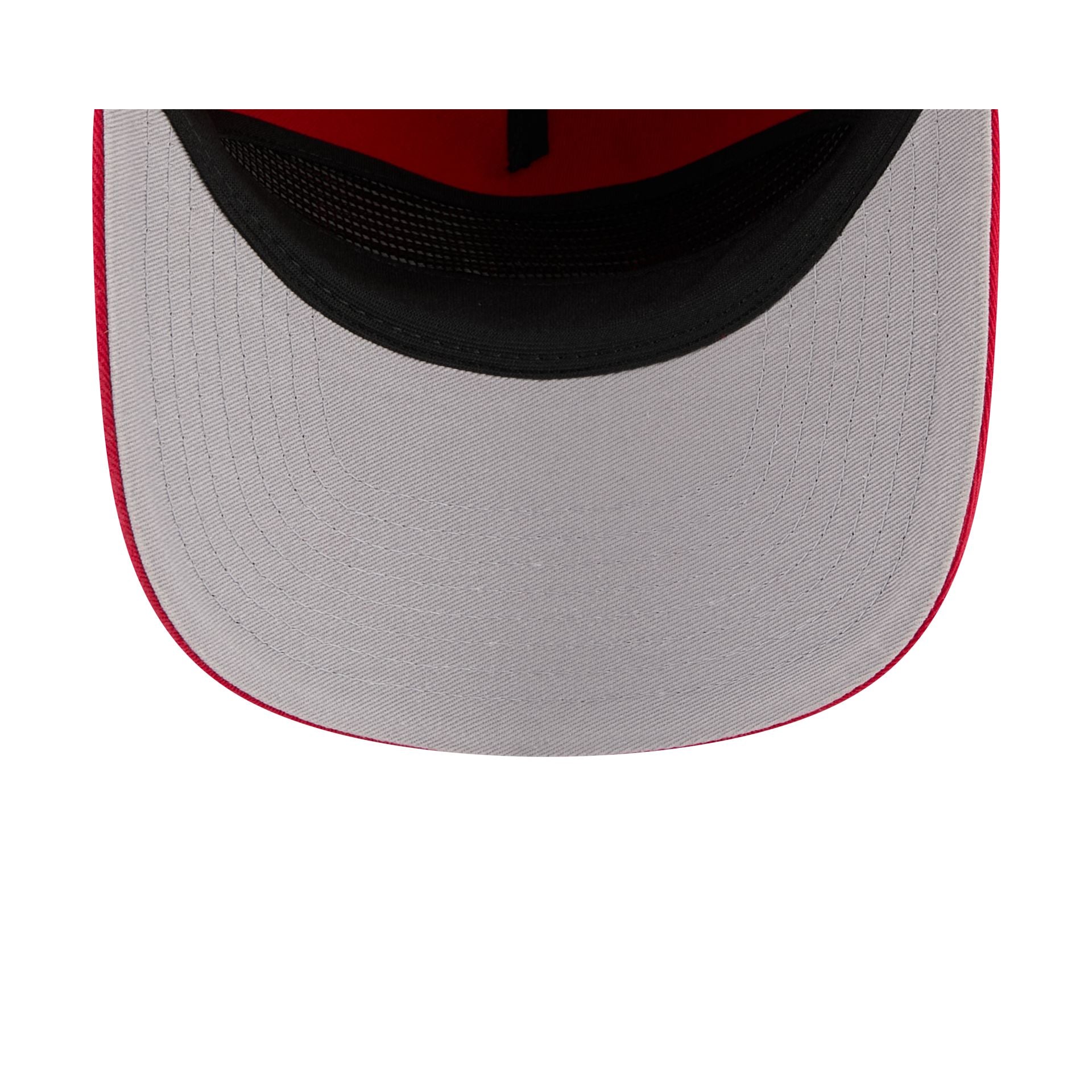 Louisville Cardinals Team 19TWENTY Snapback Hat