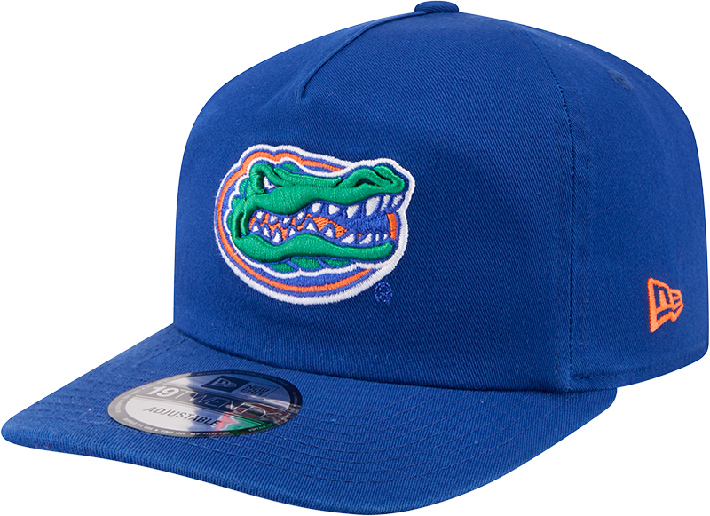 Florida Gators Team 19TWENTY Snapback Hat