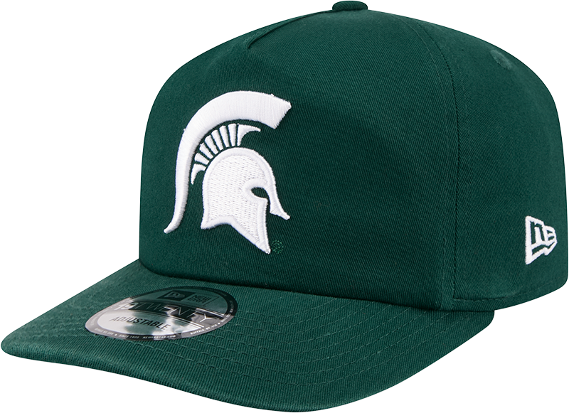 Michigan State Spartans Team 19TWENTY Snapback Hat