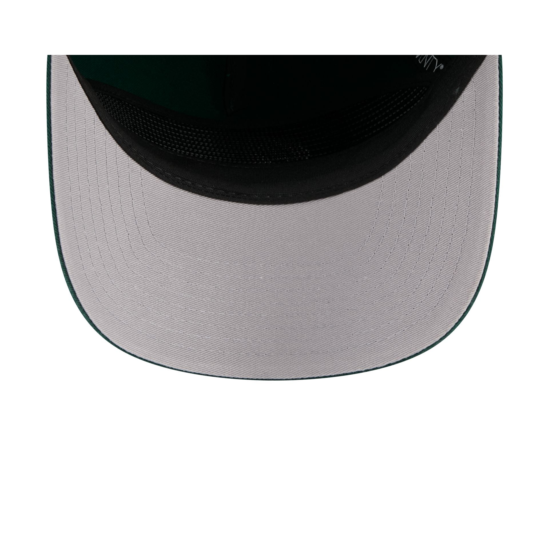 Michigan State Spartans Team 19TWENTY Snapback Hat
