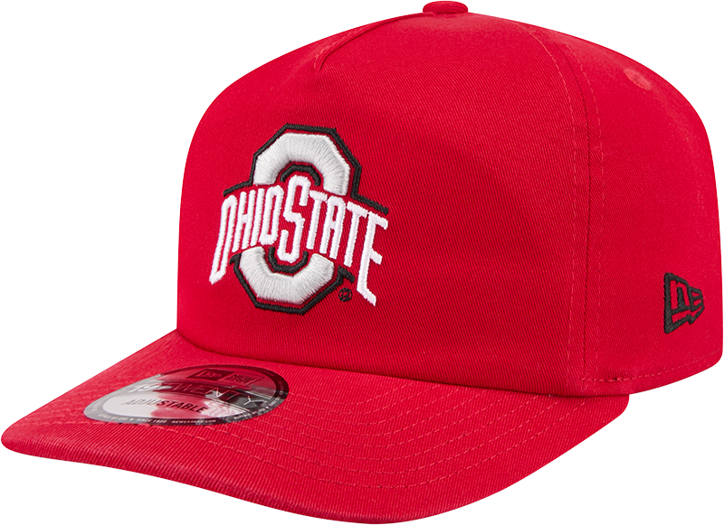 Ohio State Buckeyes Team 19TWENTY Snapback Hat