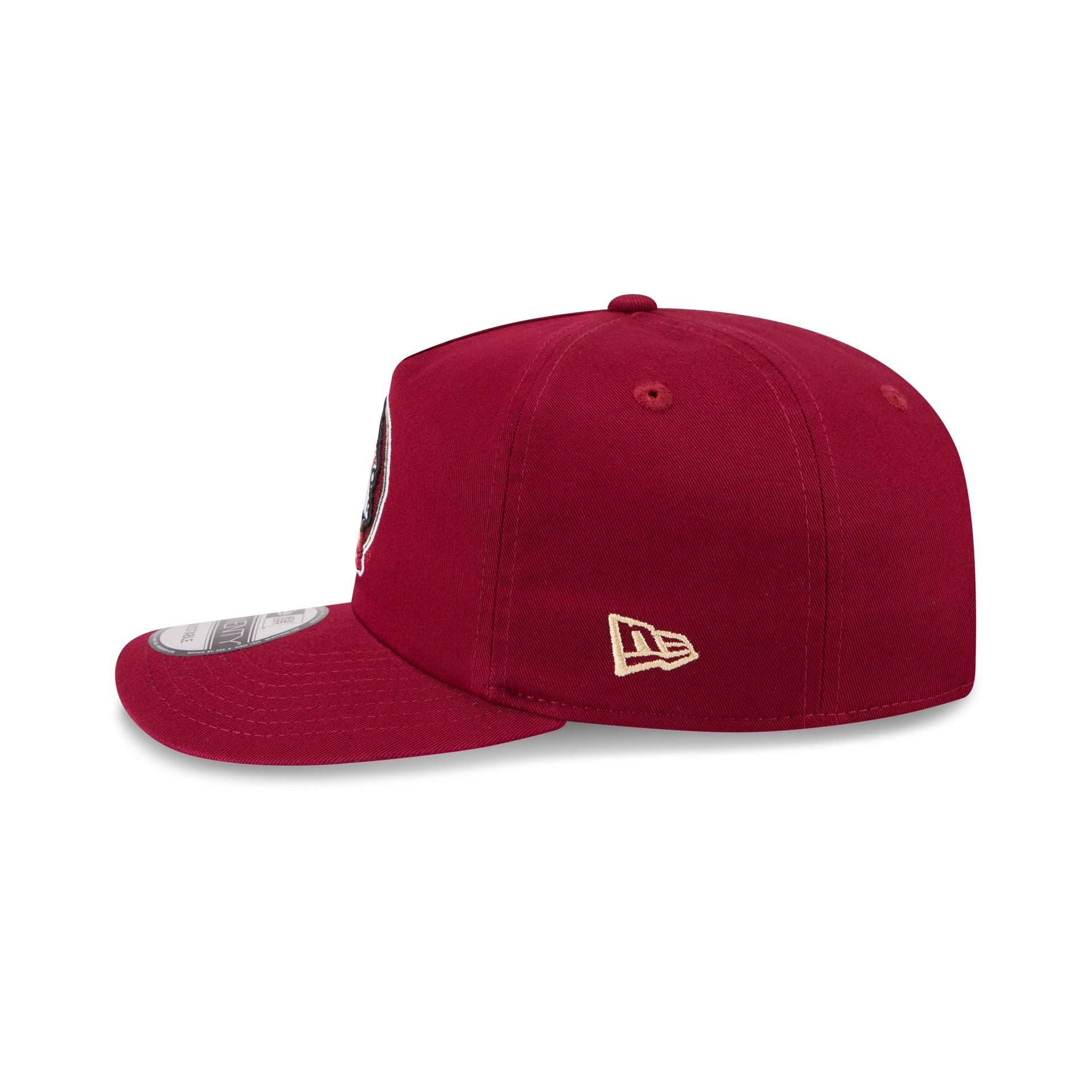 Florida State Seminoles Team 19TWENTY Snapback Hat