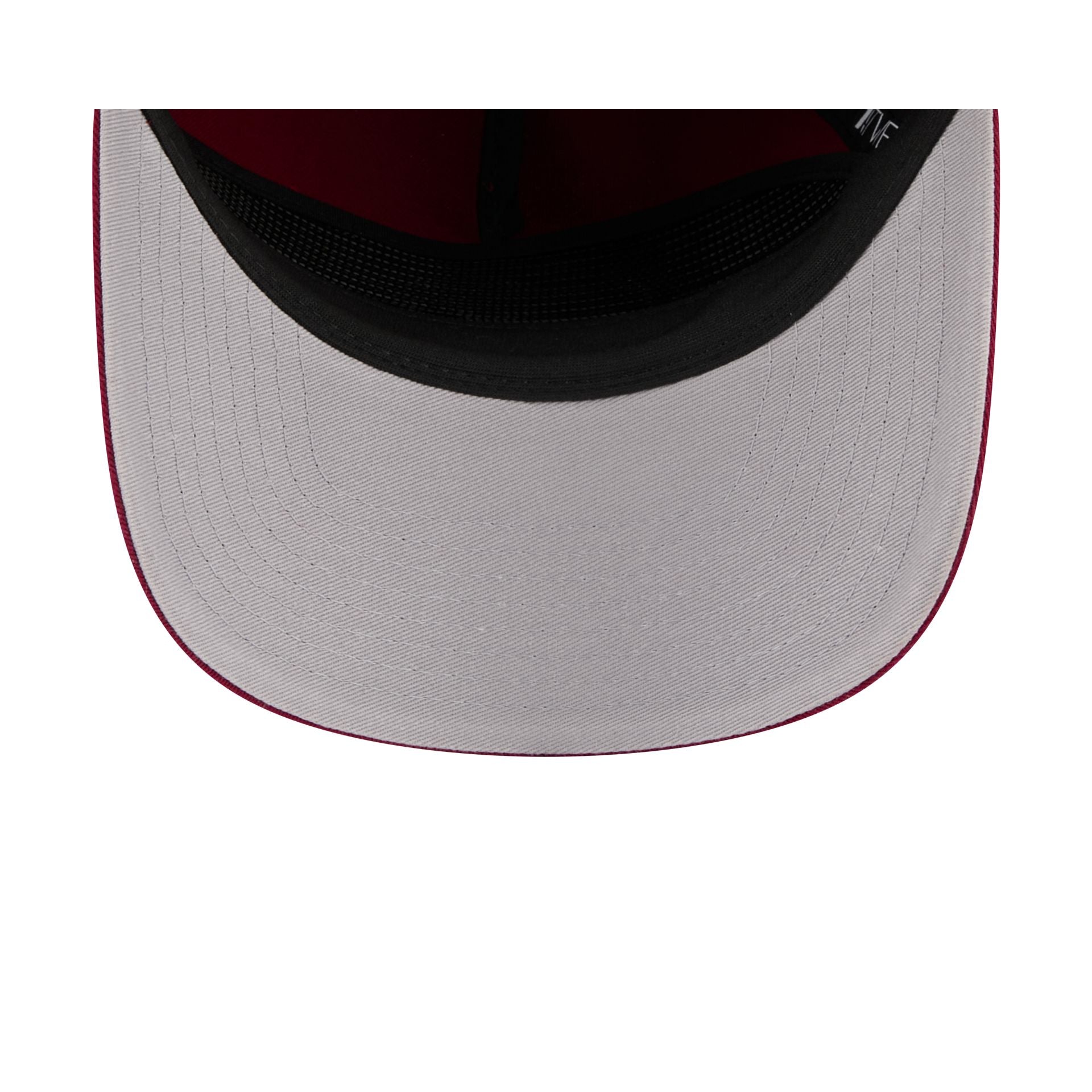Florida State Seminoles Team 19TWENTY Snapback Hat